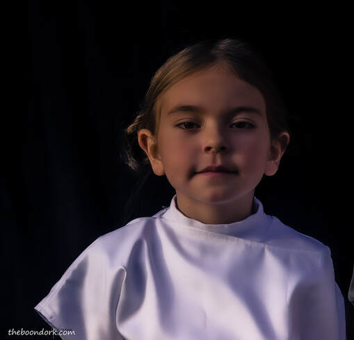Princess Leia Picture