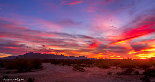 ajo Arizona sunset Picture