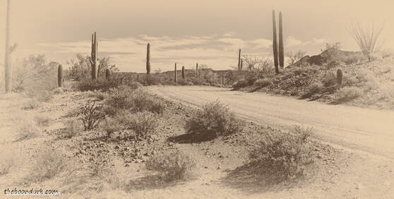 Ajo Arizona scenic loop road boondocking Picture Picture