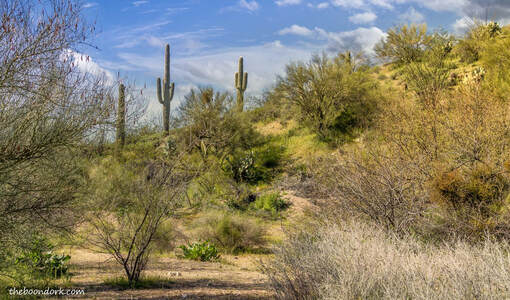 Arizona desert Picture