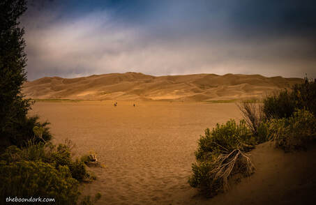  sand dunes national park Picture