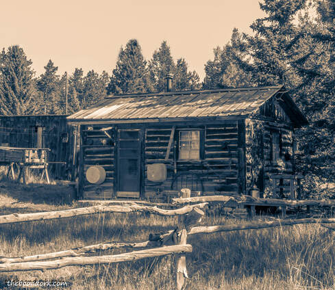 Log cabin Guffey Colorado  Picture
