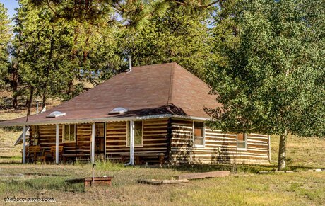 Old log cabin Guffey Colorado  Picture