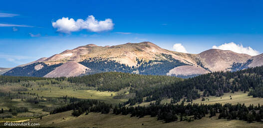Timberline in Colorado Picture