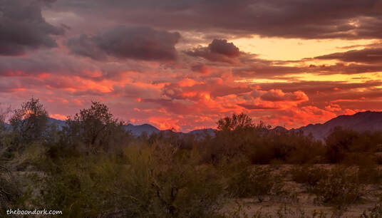 Arizona desert sunset Picture