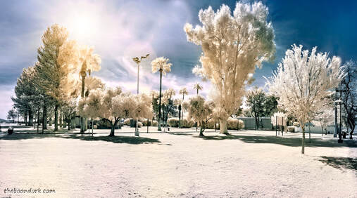 infrared picture of the Pima County Fairgrounds Picture