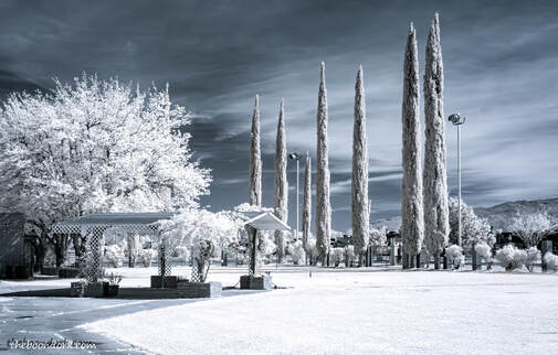 Pima County Fairgrounds infrared picture Picture