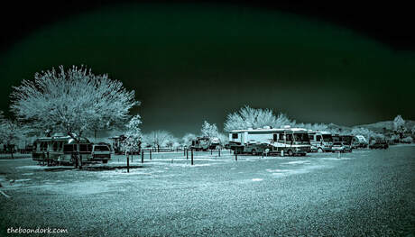 Pima County Fairgrounds Tucson Arizona Picture
