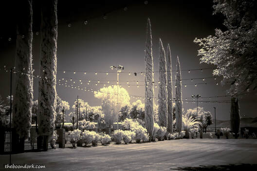 Pima County Fairgrounds infrared Picture