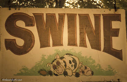 swine sign Picture