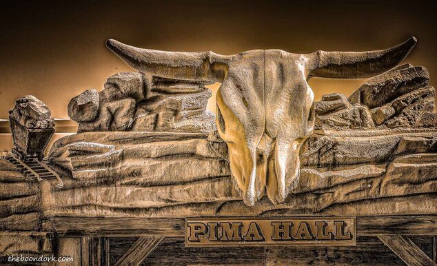 cow skull Pima County Fairgrounds Tucson Arizona Picture