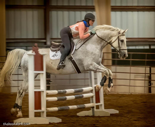 Pima County Fairgrounds Hunter jumpers Picture