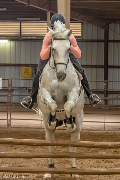 Pima County Fairgrounds hundred jumpers June 13  Picture