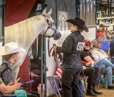 Tucson Arizona horse show  Picture