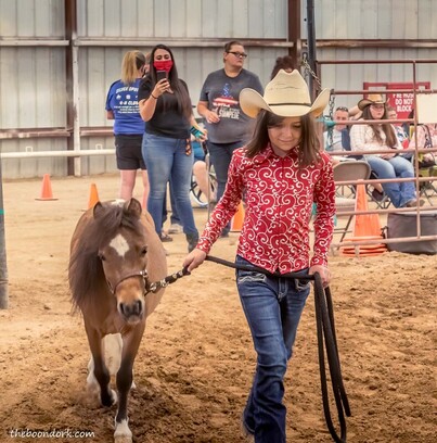 Horse show Pima County Fairgrounds  Picture