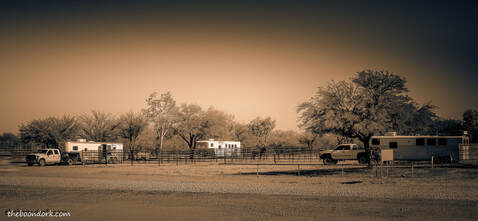 horse trailers Pima County Fairgrounds Tucson Arizona Picture
