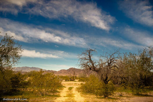 Quartzsite Arizona desert Picture