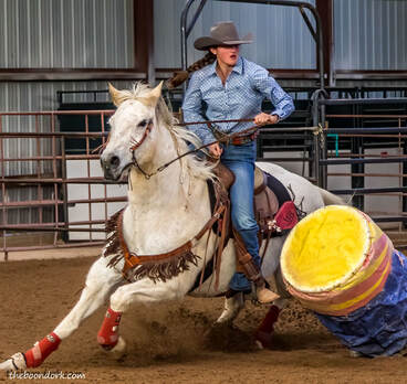 barrel racer knocking down the barrel national high school rodeo Association