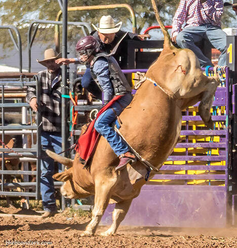 Arizona high school bull riding Tucson Arizona