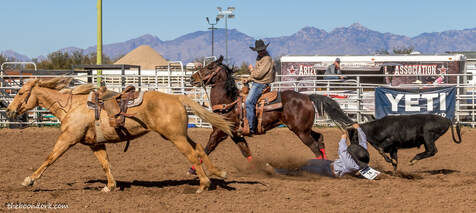 Arizona high school rodeo Association