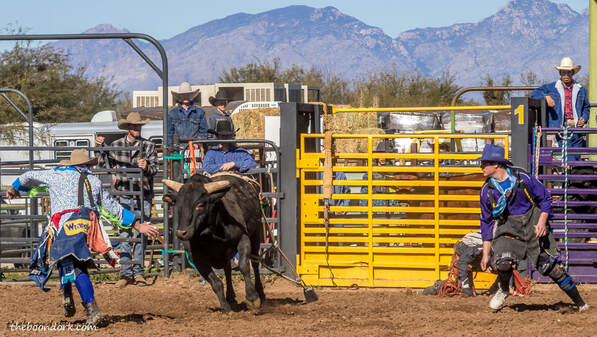 Arizona high school rodeo
