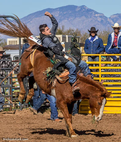 Arizona high school rodeos bareback rider