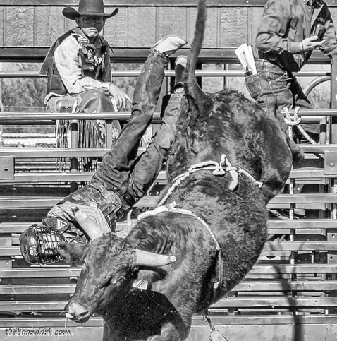 Tucson Arizona high school rodeo