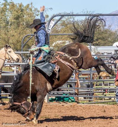 Saddle bronc rider Arizona high school rodeos