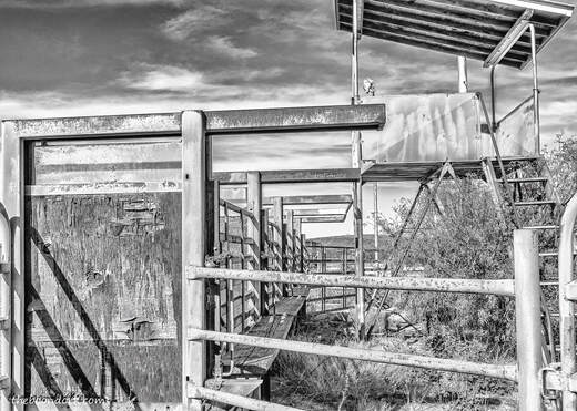 Rough stock chutes ajo rodeo grounds