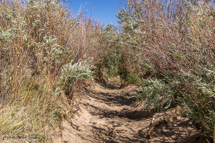 Sand dunes national Park hiking trail