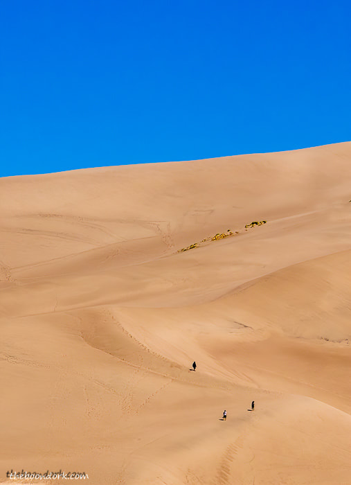 Sand dunes national Park Colorado