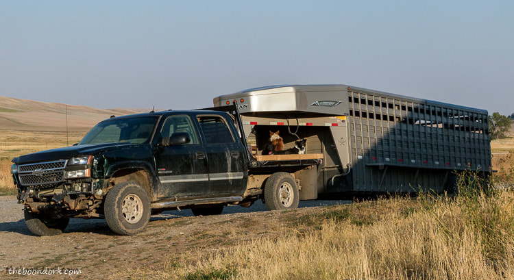 A Montana Cowboys rig