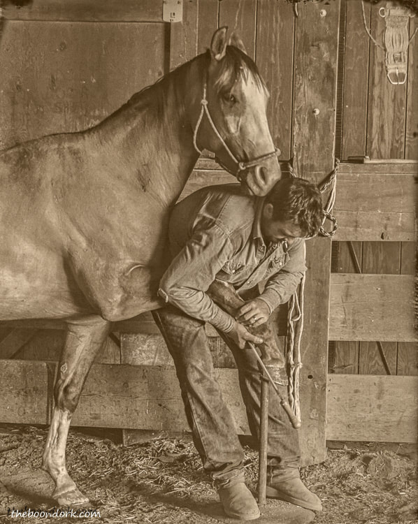 Cowboy taking care of his horse