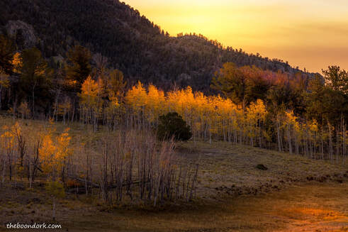 Autumn leaves Colorado mountains Picture