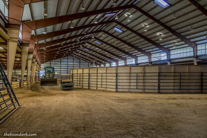 Horse arena Picture