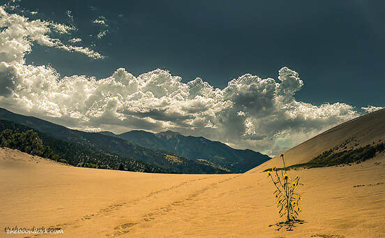 sand dunes ColoradoPicture