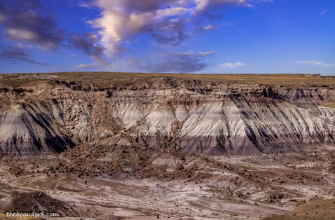 Petrified Forest National Park Picture