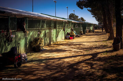 Old Stables Pima County Fairgrounds Picture