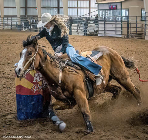 Rodeo Picture