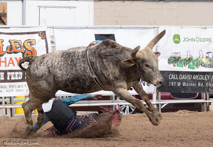 Tucson high school rodeo Picture