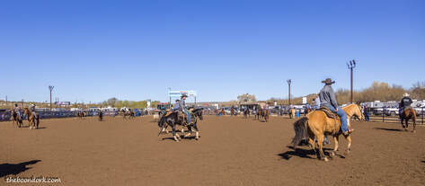 Wickenburg team roping Picture