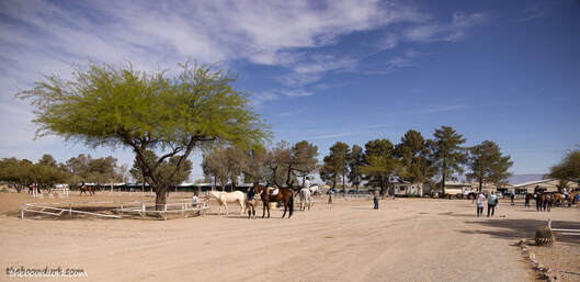 Hunter jumpers Tucson Picture