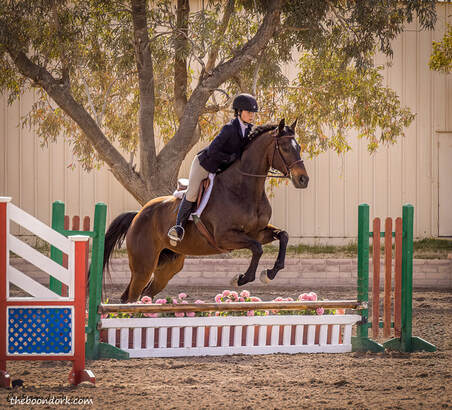 Tucson Hunter jumpers Picture