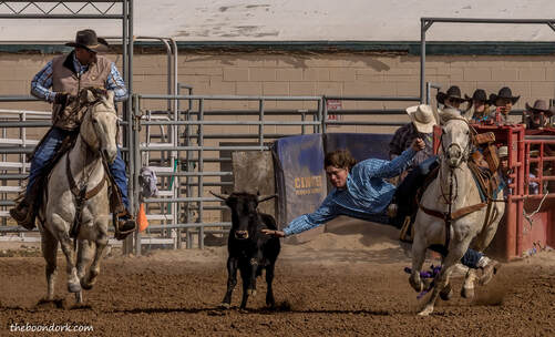 I school rodeo Tucson Picture