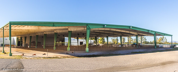Pima County Fairgrounds building