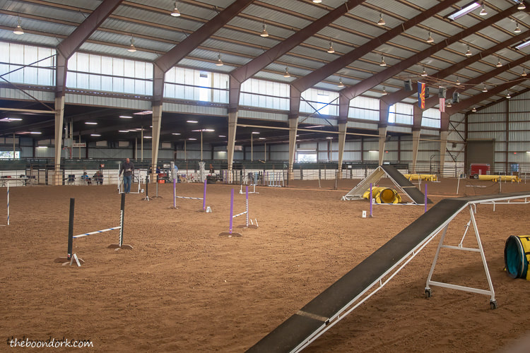 dog agility competition arena