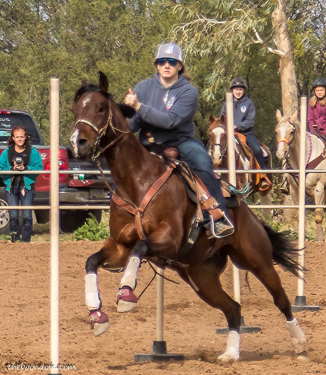 horse competition Tucson Arizona